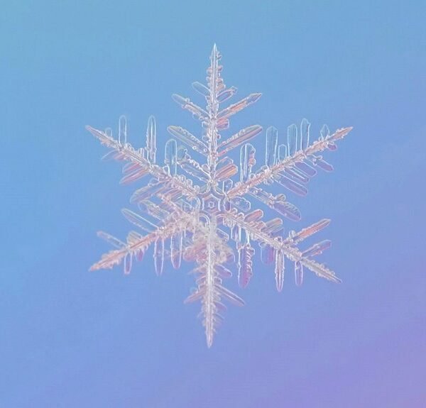 Ironbound Frost Nexus – 2045842802