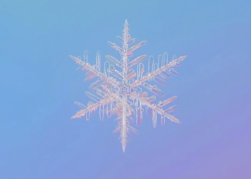 quantum frost array technology