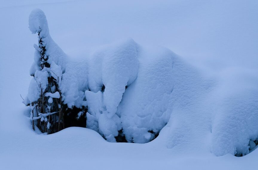 Wildstone Drift Code – 96843998